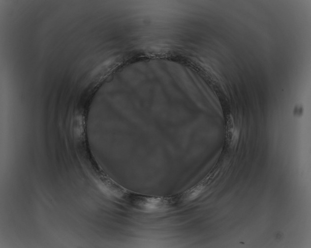 X0000091060130200708271203