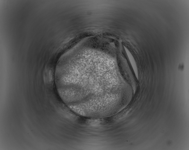 X0000091060131200708271203