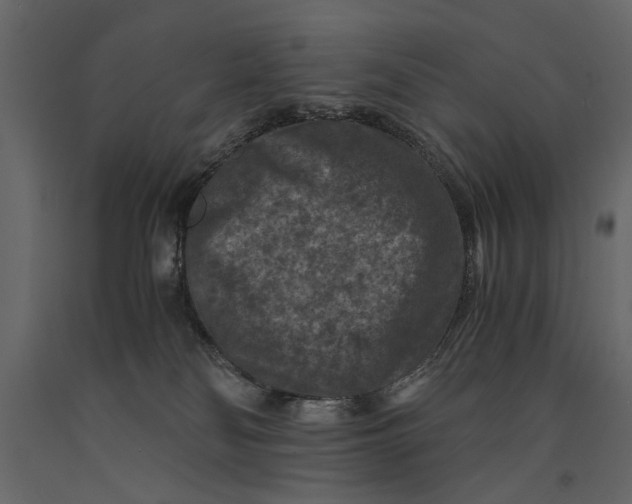 X0000091060134200708271203
