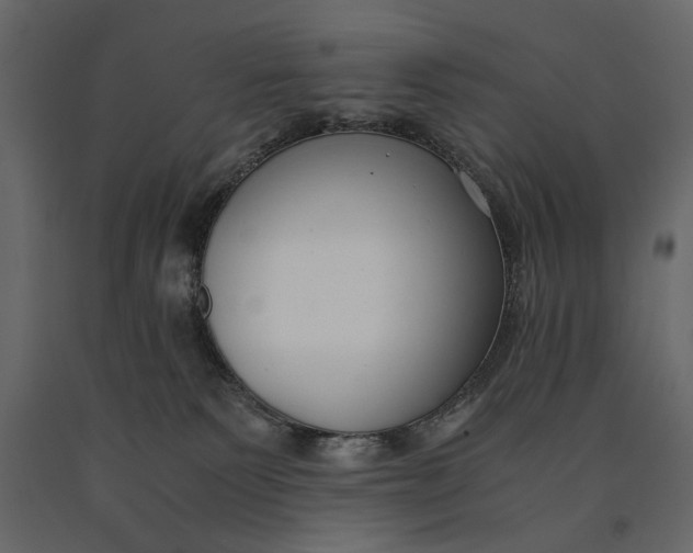 X0000091060135200708271203