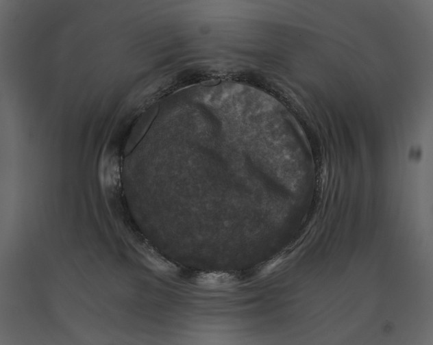 X0000091060137200708271203