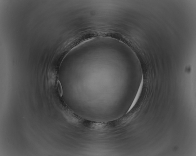 X0000091060139200708271203