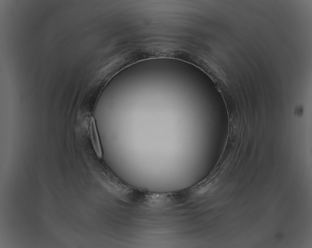 X0000091060141200708271203