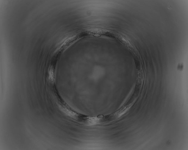 X0000091060143200708271203