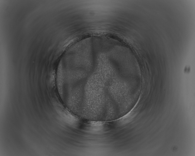 X0000091060144200708271203