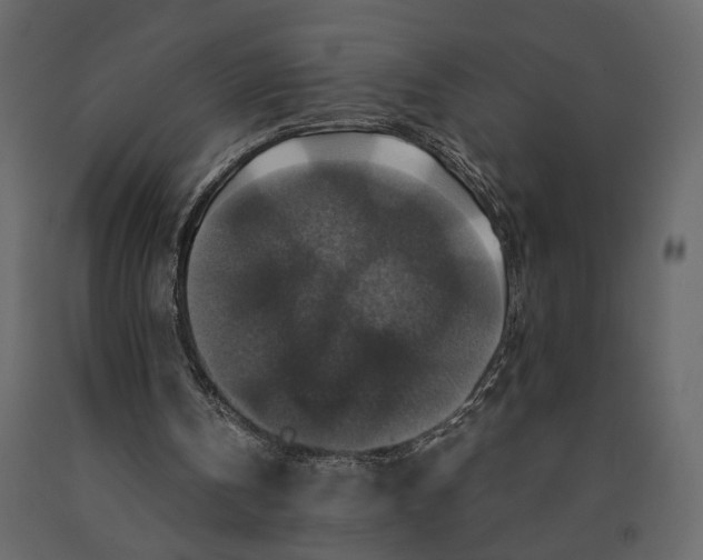 X0000091060146200708271202