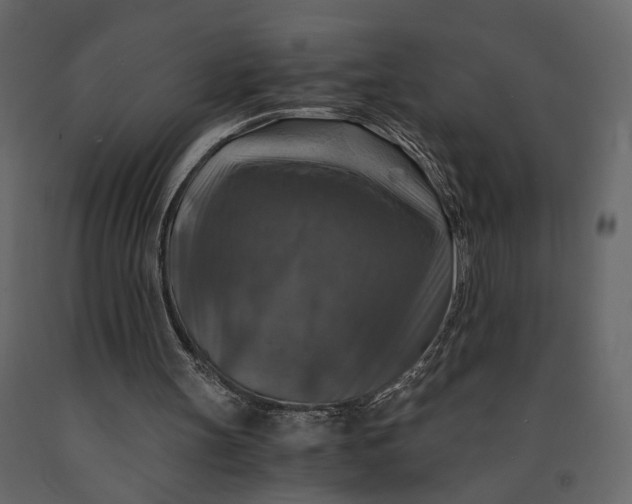 X0000091060147200708271202