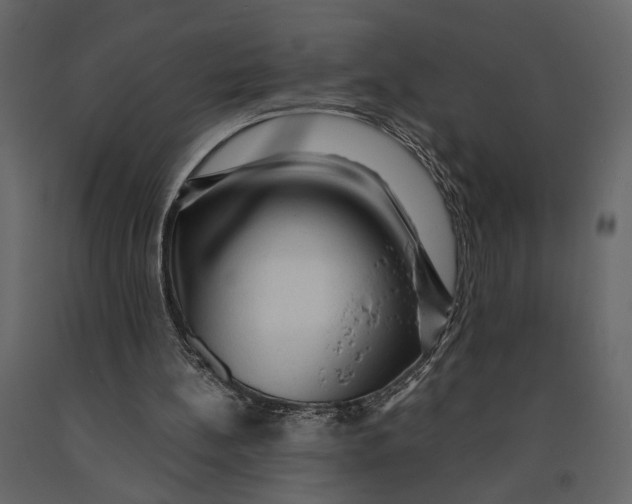 X0000091060148200708271202