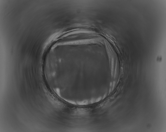 X0000091060149200708271202