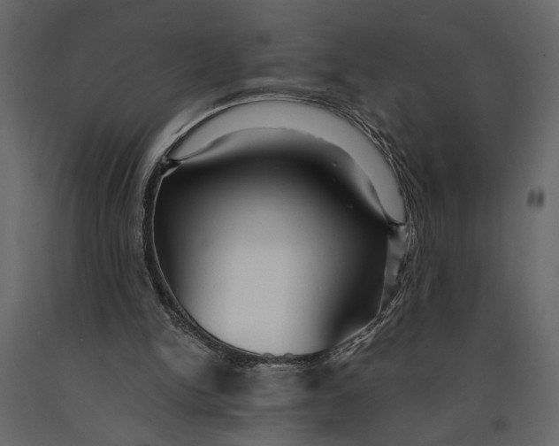 X0000091060150200708271202