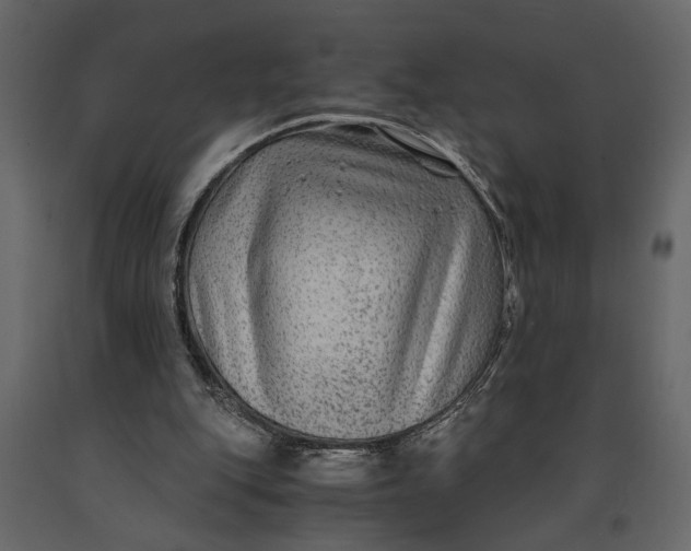 X0000091060151200708271203
