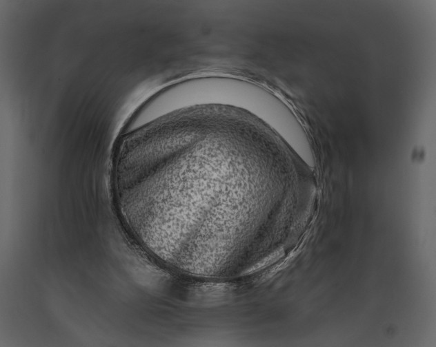 X0000091060152200708271203