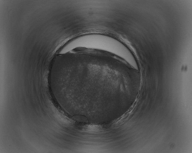 X0000091060154200708271203
