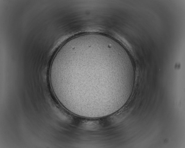 X0000091060155200708271203