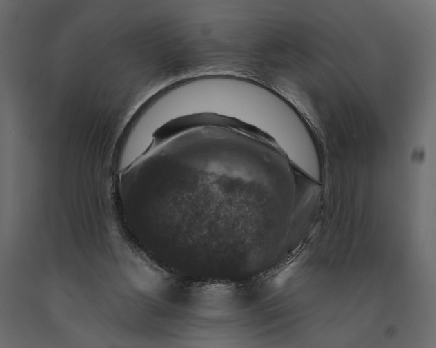 X0000091060156200708271203