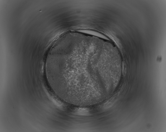 X0000091060157200708271203
