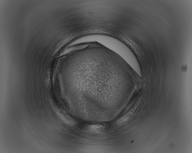 X0000091060158200708271203