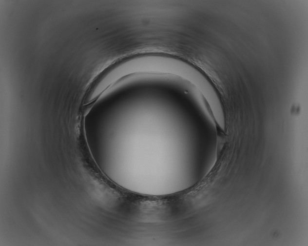 X0000091060160200708271203