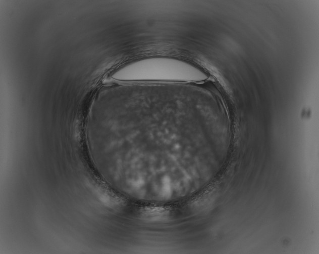 X0000091060161200708271203