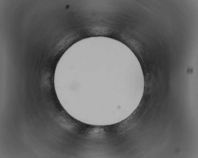 X0000091060162200708271203