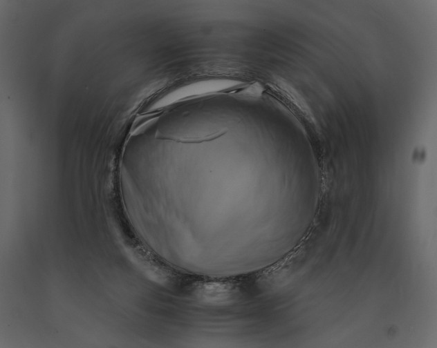 X0000091060163200708271203