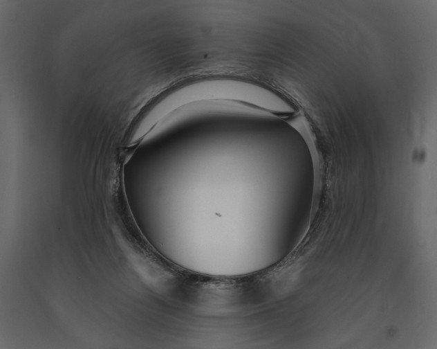 X0000091060164200708271203