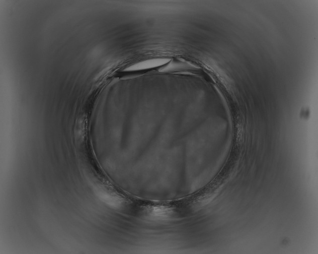 X0000091060165200708271203
