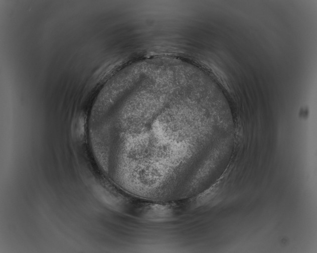 X0000091060166200708271203