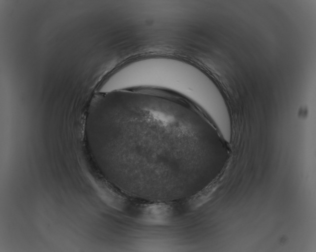 X0000091060168200708271203