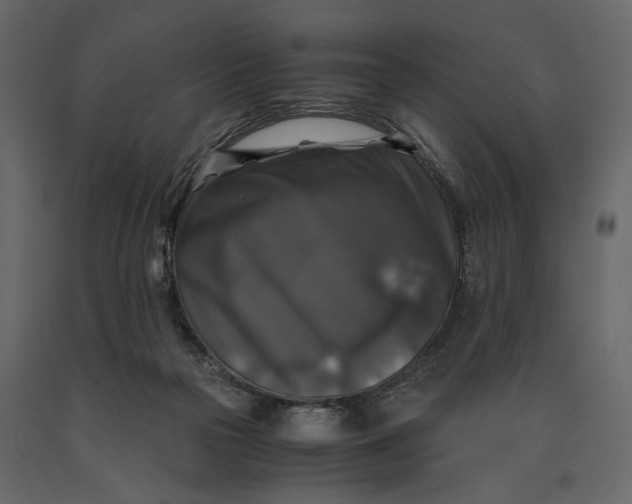 X0000091060169200708271203