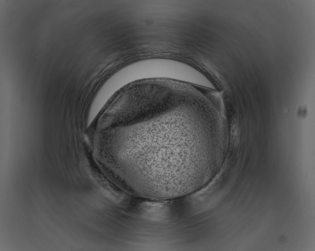 X0000091060170200708271203