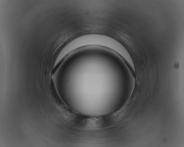 X0000091060172200708271203