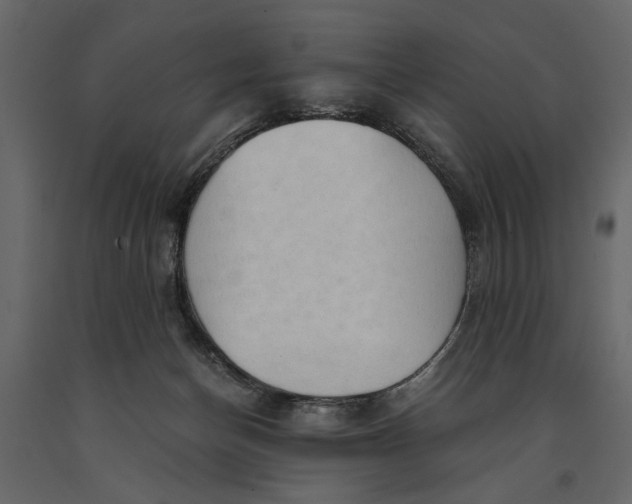 X0000091060174200708271203