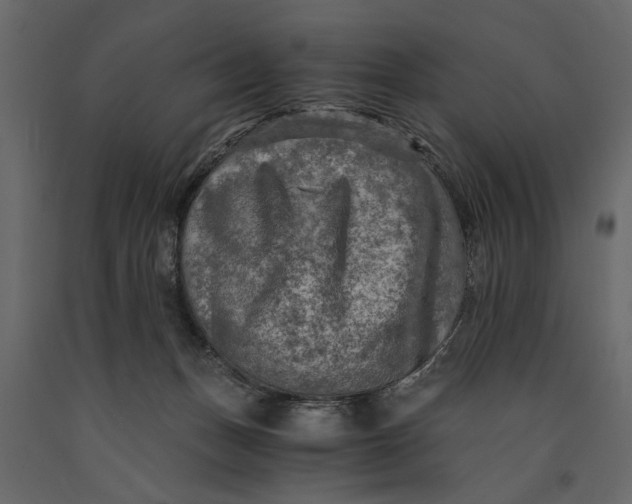 X0000091060175200708271203