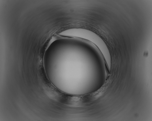 X0000091060176200708271203