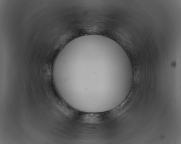 X0000091060179200708271203