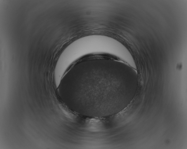 X0000091060180200708271203