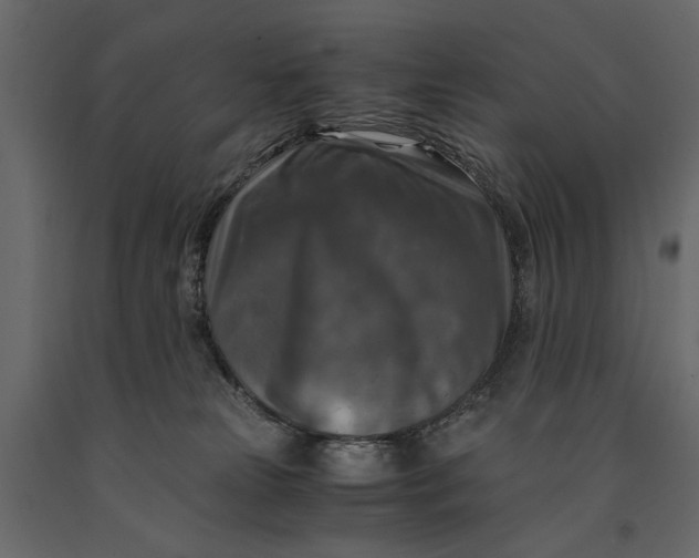 X0000091060181200708271203