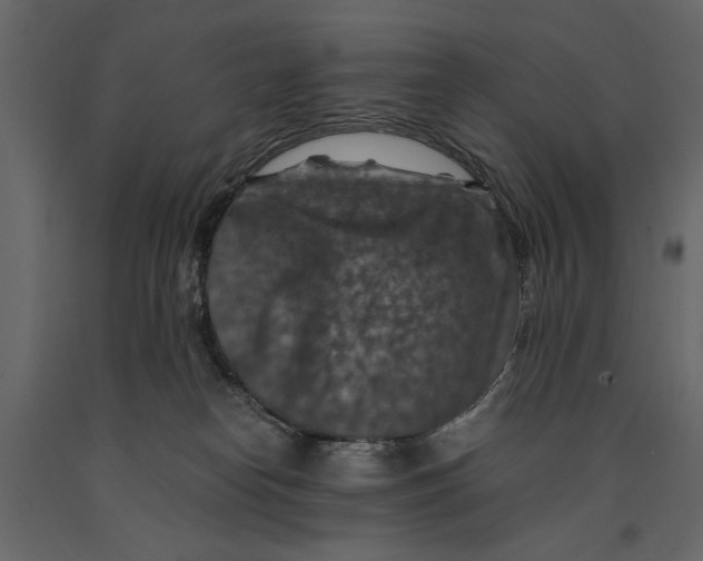 X0000091060182200708271203