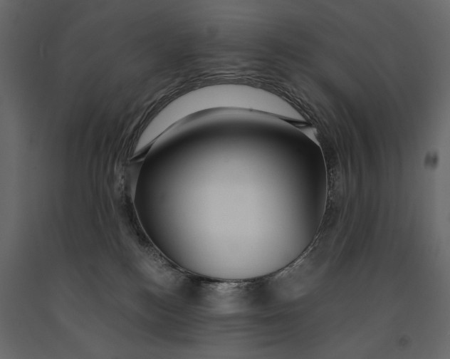 X0000091060184200708271203