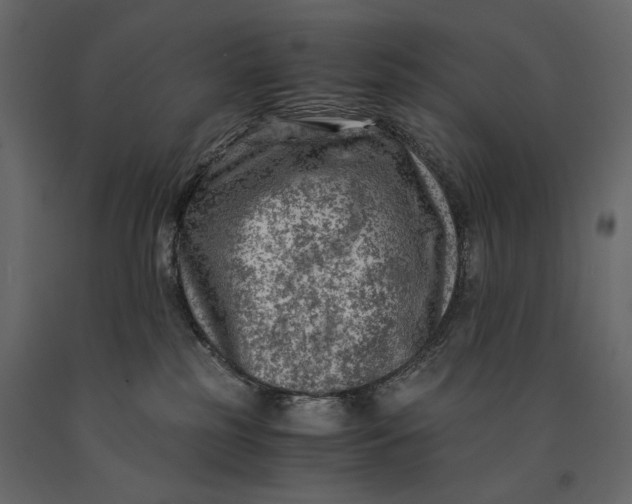 X0000091060185200708271203