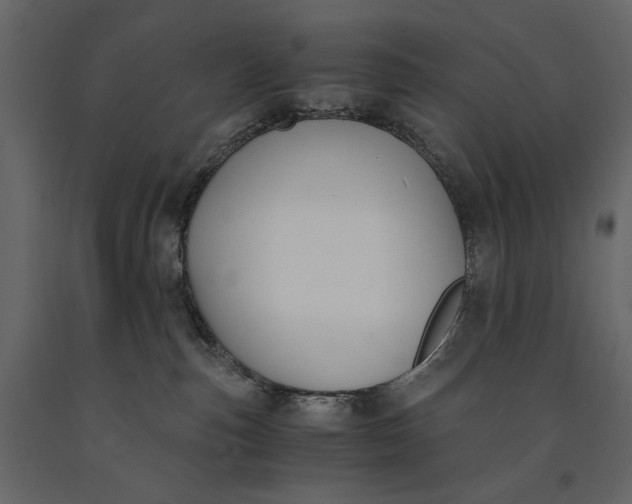 X0000091060187200708271203