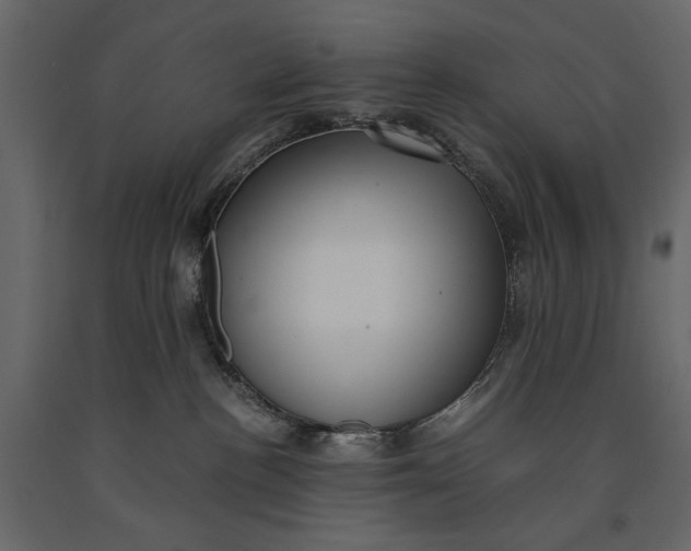 X0000091060188200708271203