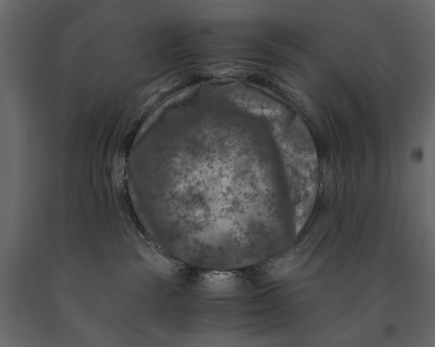 X0000091060189200708271203