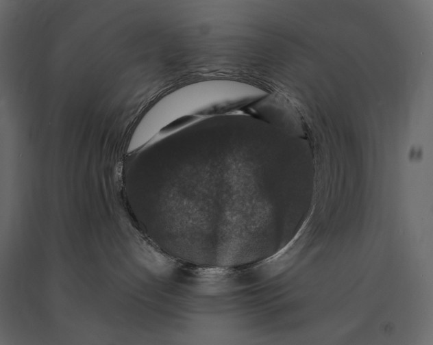 X0000091060192200708271203