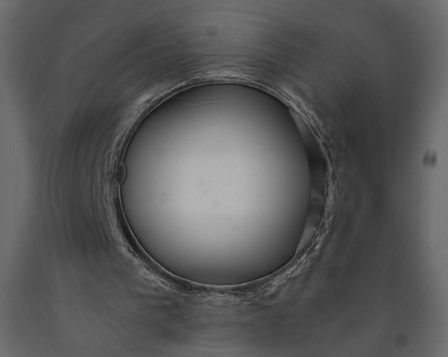 X0000091060193200708271202