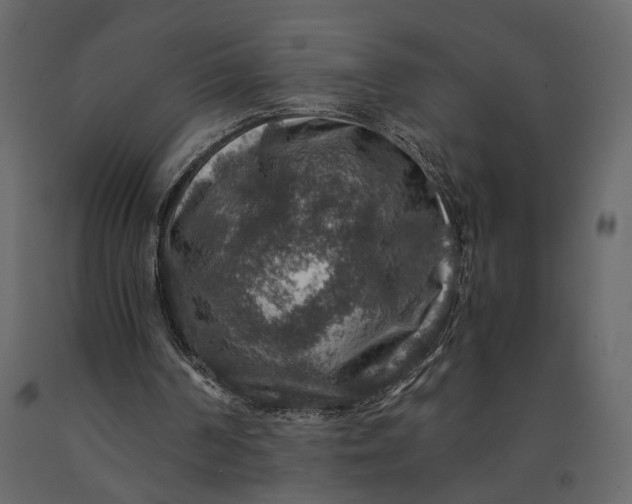 X0000091060194200708271202