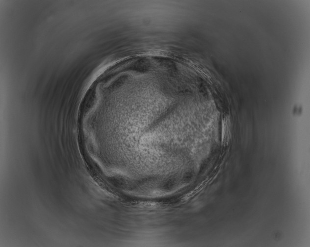 X0000091060195200708271202