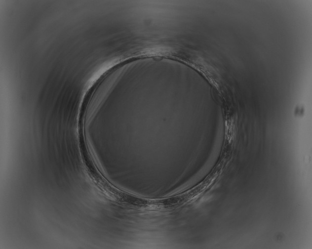 X0000091060196200708271202