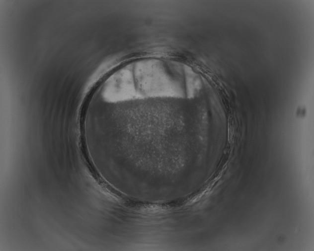 X0000091060198200708271202